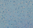 Terrazzo style tiles Deep Sea Blue